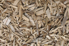 biomass boilers Rhigos