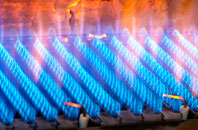 Rhigos gas fired boilers